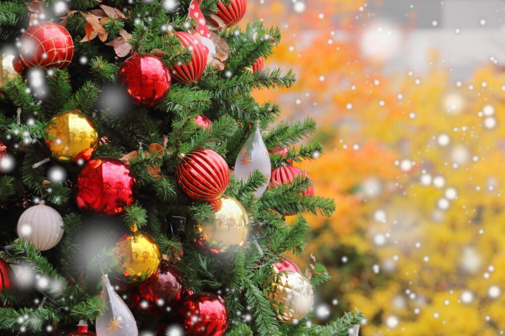 重症心身障がい児デイサービス「Ricora(リコラ)」で毎月行われている理念共有の時間「リコラのミライ」。クリスマス会の準備をテーマに、段取りより“なぜ行うのか”を深く考えた2時間の学びについて、綴ります。